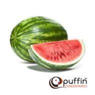 Watermelon Heaven Concentrate